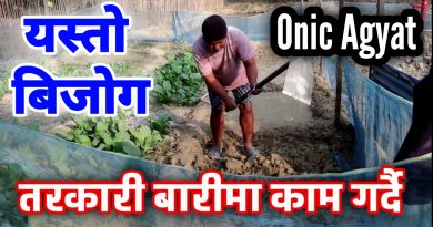 Vegitable Cultivation Vlog by Onic Agyat 4K 1